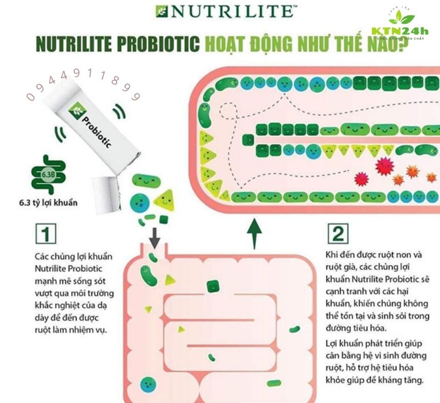 Nutrilite Probiotic liệu có tốt?