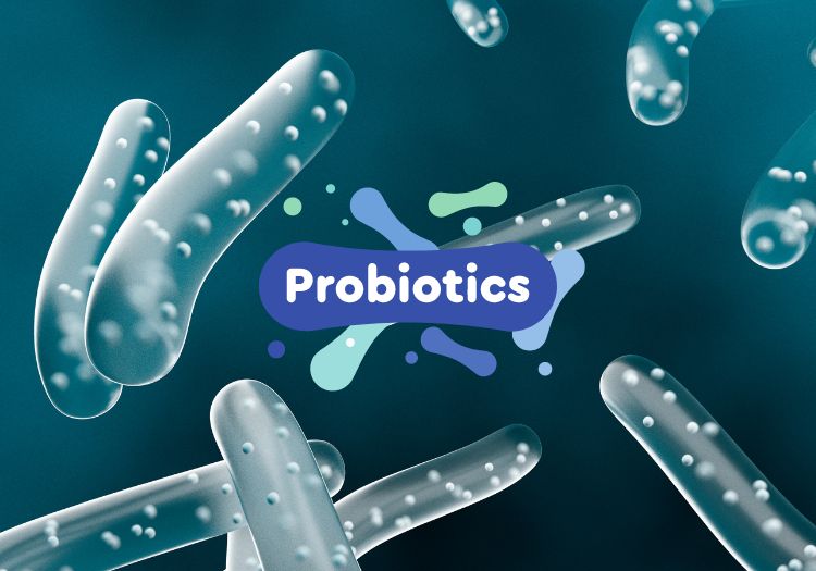 Lợi khuẩn Probiotics là gì?