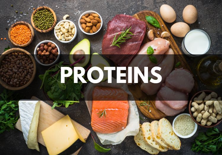 Protein là gì?