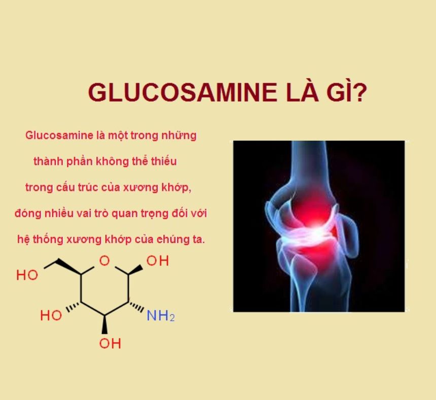 Glucosamine là gì?