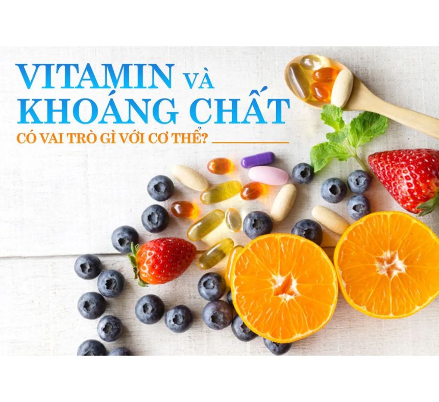 Vitamin và khoáng chất có vai trò gì với cơ thể?
