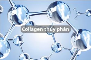 collagen thủy phân